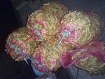 chili pappers, luti cuski (faronki), Люти чушки, Љути Чушки, Лути Чушки, Лути пиперки (феферони),Ljuti papricice