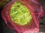 chili pappers, luti cuski (faronki), Люти чушки, Љути Чушки, Лути Чушки, Лути пиперки (феферони),Ljuti papricice